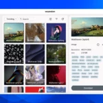 Waywallen il gestore di sfondi dinamici per Linux