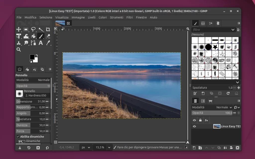 GIMP su Ubuntu Linux