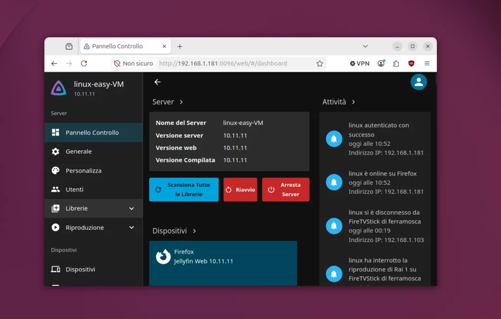 Jellyfin Server Pannello Controllo