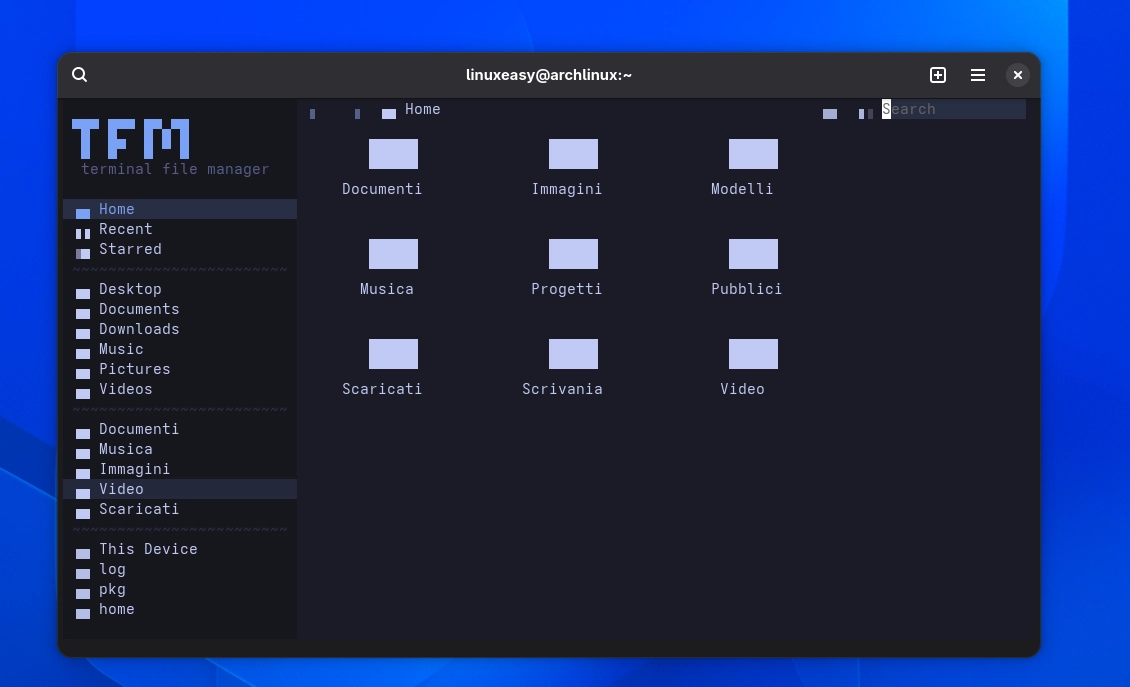 Scopri di più sull'articolo TFM il file manager per terminale che rende Linux molto più moderno
