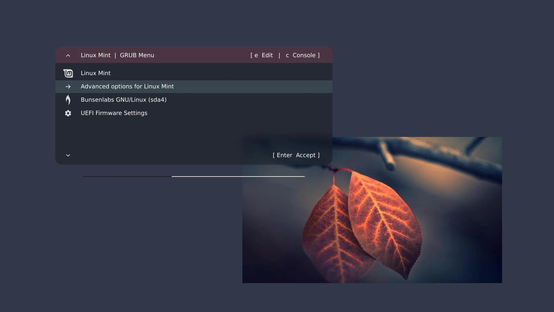 Scopri di più sull'articolo Grub EvoDevo rende il menu GRUB di Linux molto più personalizzabile