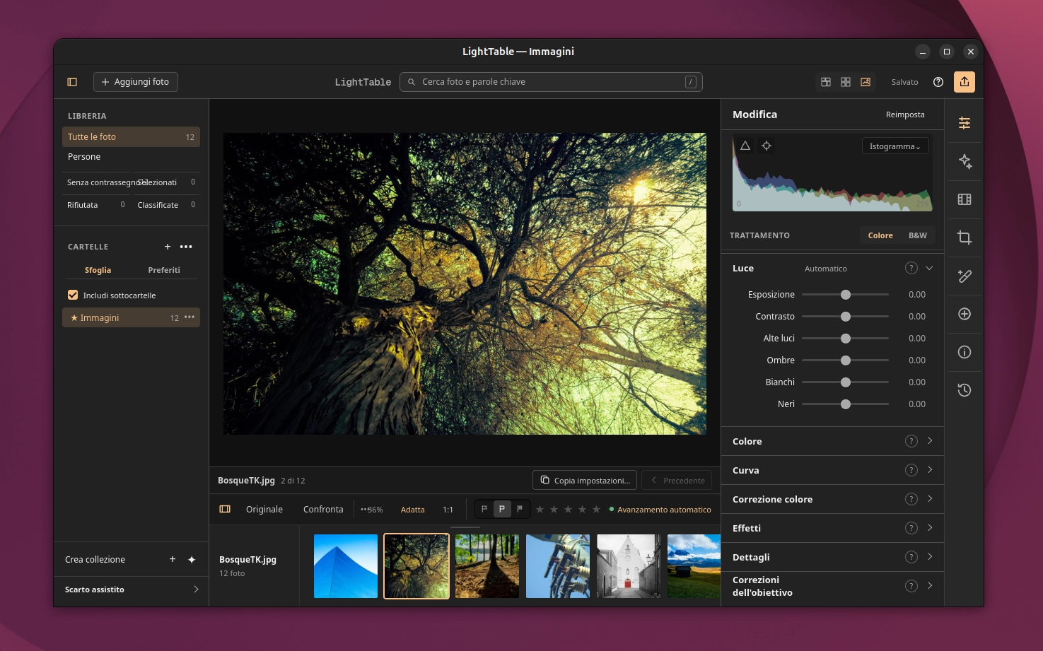 Scopri di più sull'articolo LightTable l’alternativa open ad Adobe Lightroom per Linux