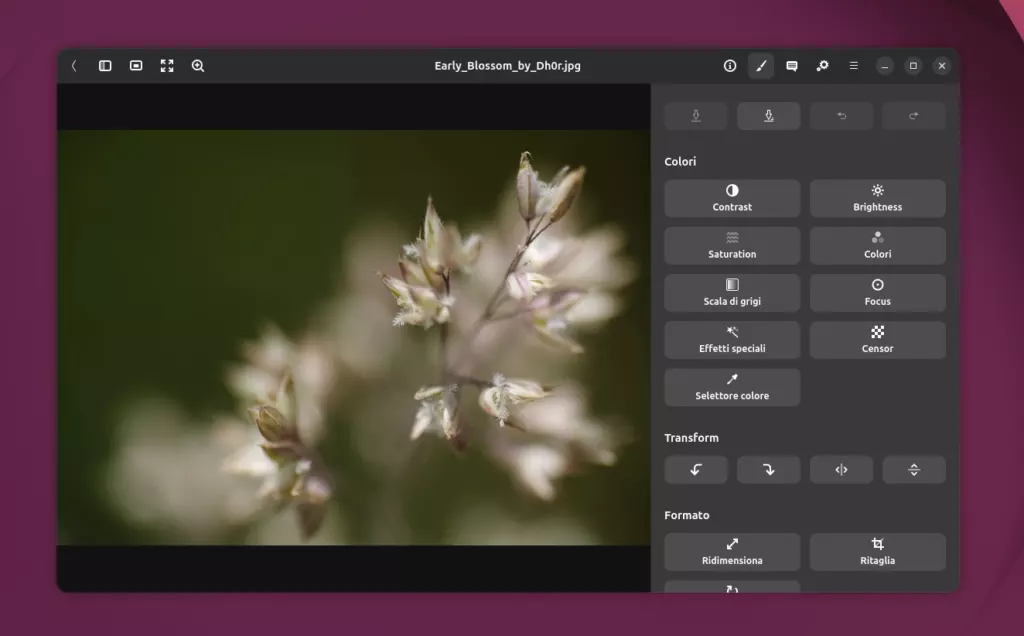 gThumb 4.0 Editor Image